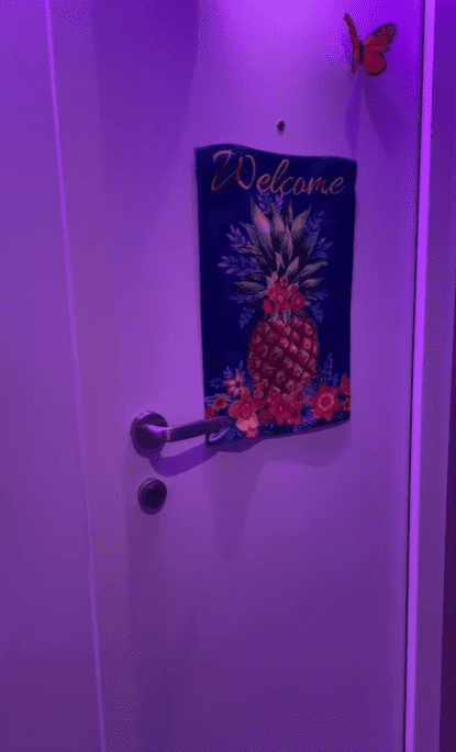 A user recently discovered the X-rated meaning behind cabin doors with ‘pineapples'(Instagram@blogionistatravels)