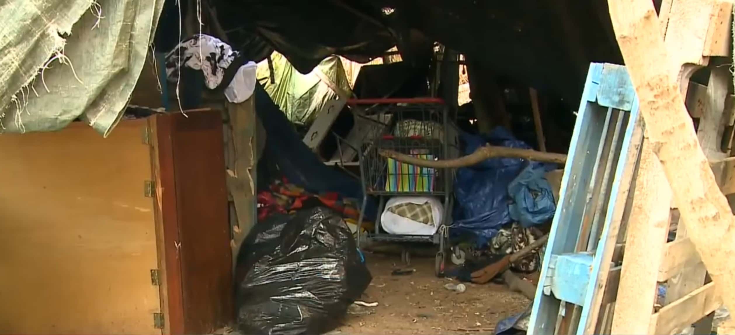 Alexandra Eckersley left her newborn son in a tent in a wooded area of New Hampshire (WMUR-TV screengrab)