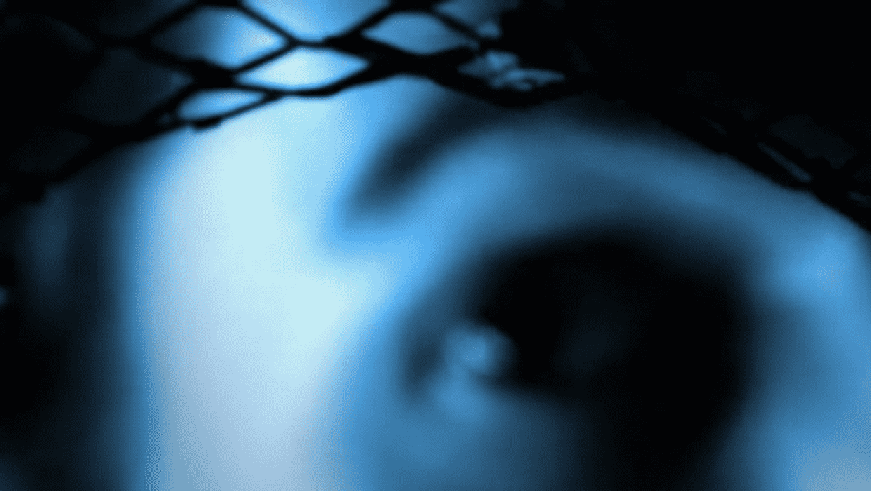 A still from 'Phrogging: Hider in My House' (YouTube/Lifetime)