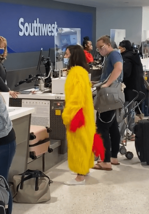 TikTok from Taylor Watson