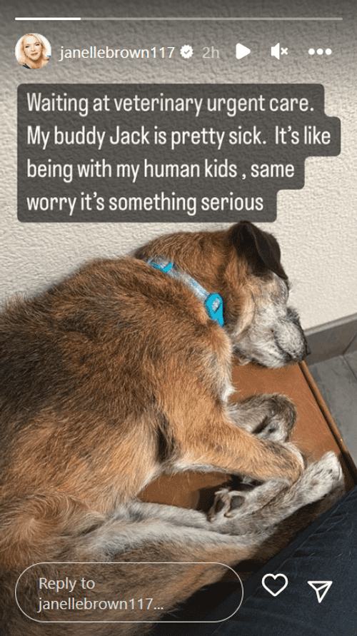 'Sister Wives' star Janelle Brown's dog Jack is not well (Instagram/@janellebrown117)