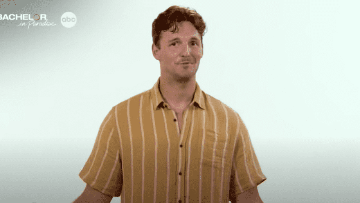 Logan Palmer in 'Bachelor in Paradise' Season 8 (YouTube/Bachelor Nation on ABC)