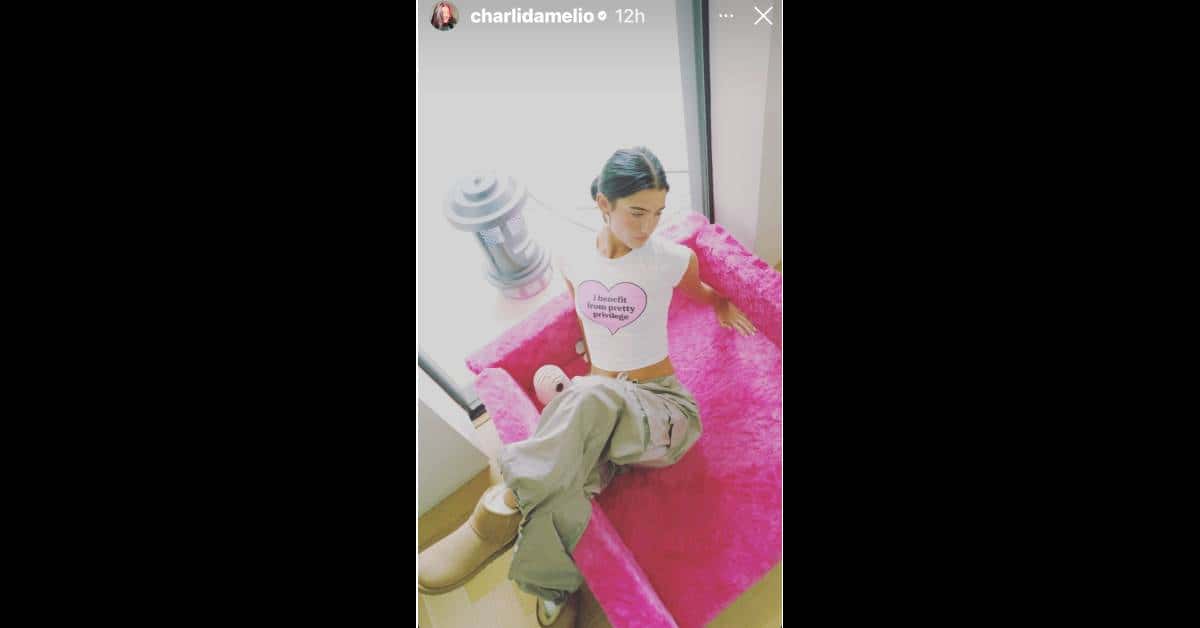 Charli D'Amelio's Instagram story (charlidamelio/ Instagram)