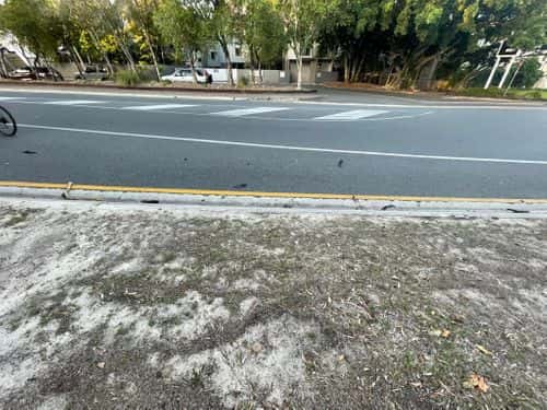 The stretch of road where the turkey was hit (Facebook/Noosa Community Notice Board)