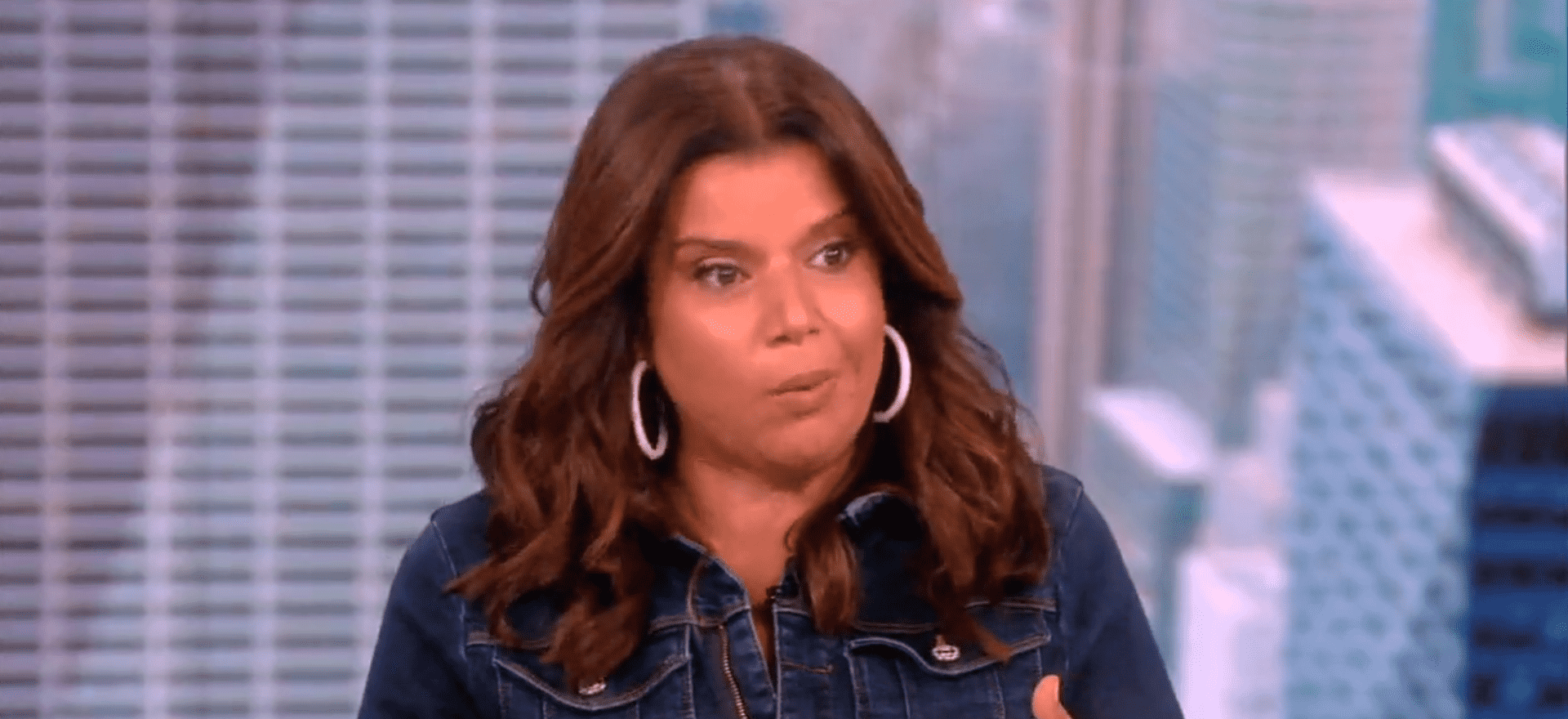 Ana Navarro mocks Ron DeSantis on 'The View' (YouTube/TheView)