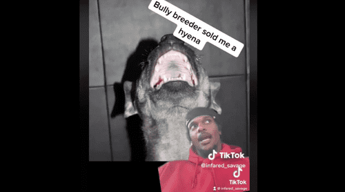 (TikTok/@infared_savage)