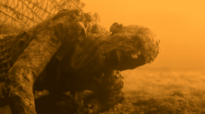 A still from 'Fear The Walking Dead' trailer (AMC)