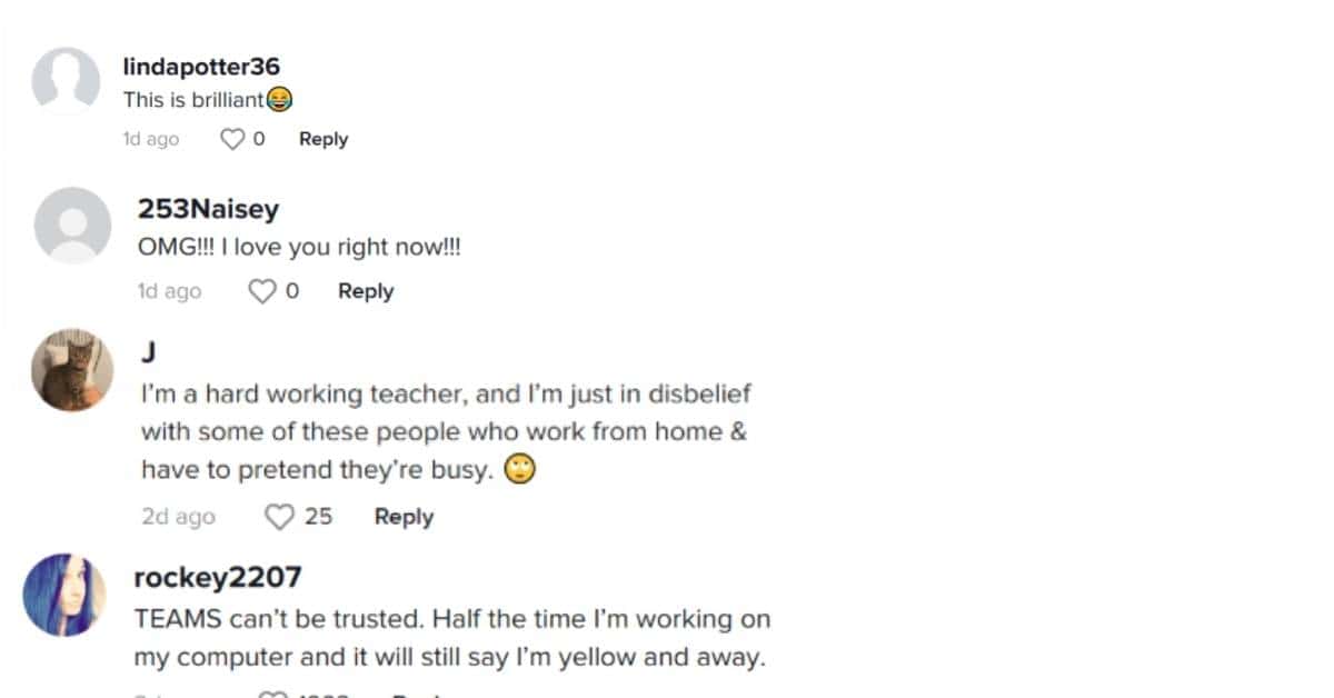 TikTok user's comment section (allizsin/ TikTok)