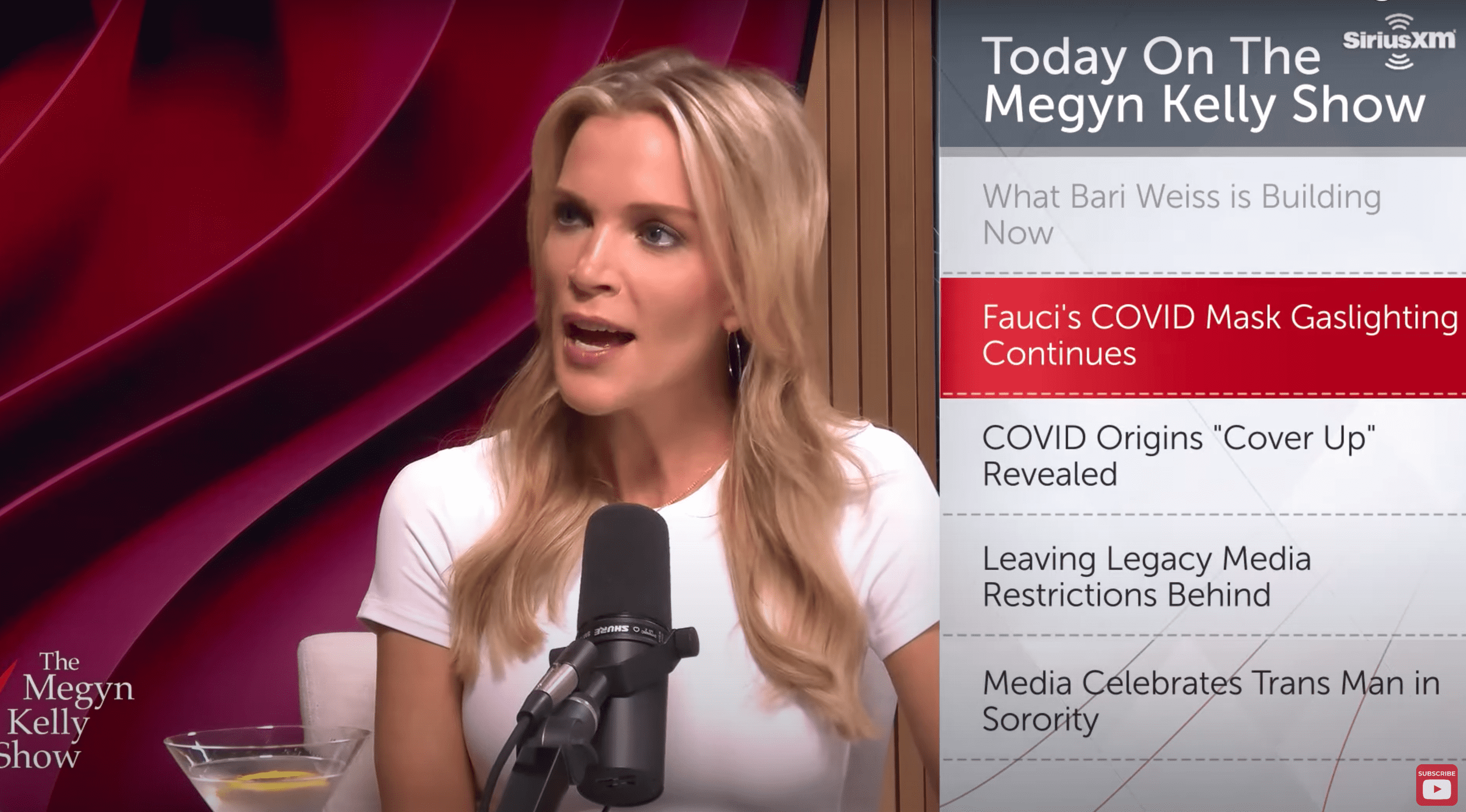 Megyn Kelly said she tested 'positive' for an autoimmune disease after taking COVID vaccine (@MegynKelly/YouTube)