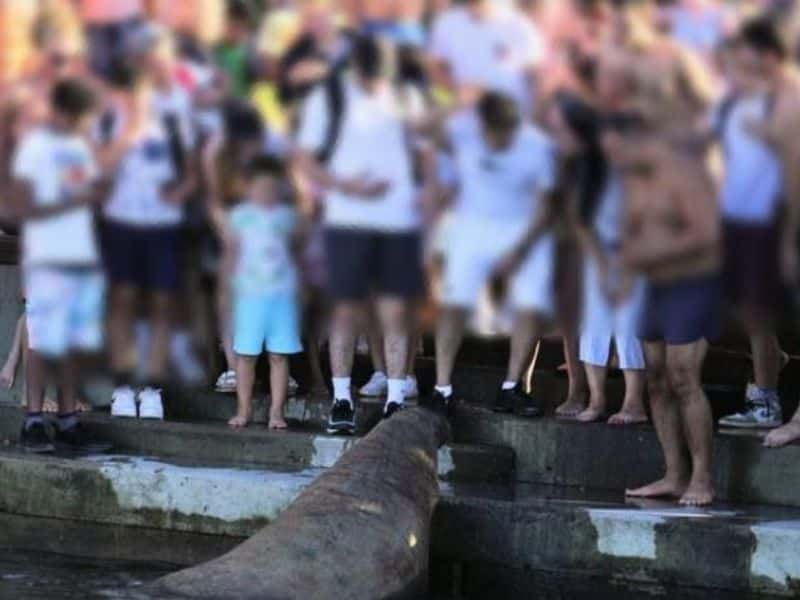 (Credit: Norway Directorate of Fisheries)