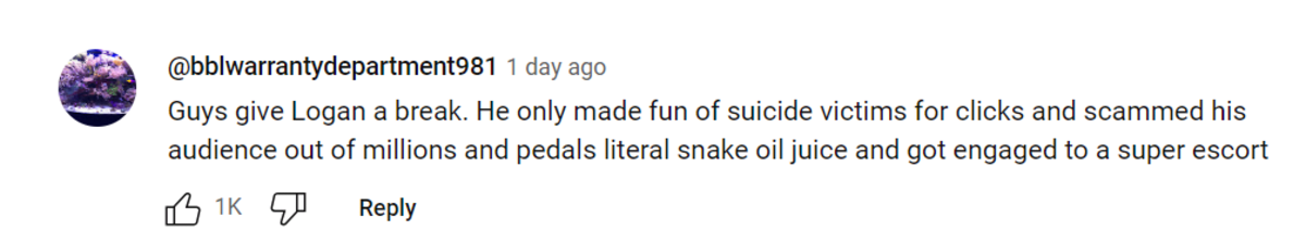 A screenshot of a comment by a fan (Youtube)