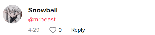 A fan tagged MrBeast on the video