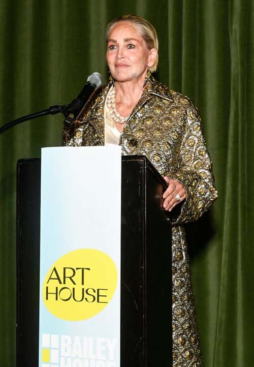 Sharon Stone hosts the Bailey House's 2023 Art House benefit honoring Nan Goldin at Bowery Hotel Terrace on June 14, 2023 in New York City.