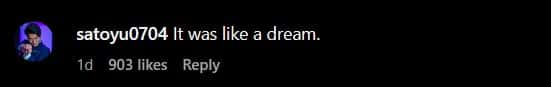 A user called this surprise, a dream (mrbeast/Instagram)