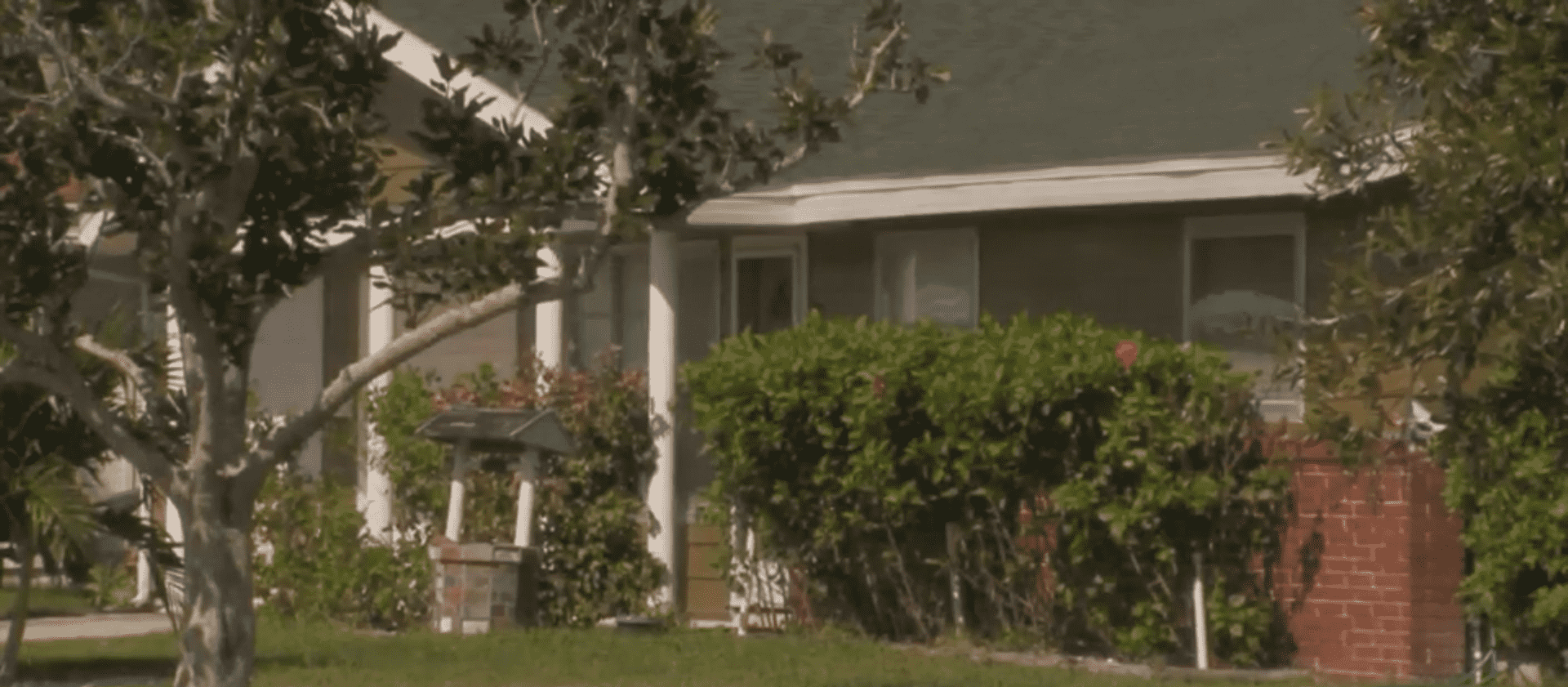 Jackalynn D'Auria killed her mother at a residence on Canal lane in Brevard County (WESH screengrab)