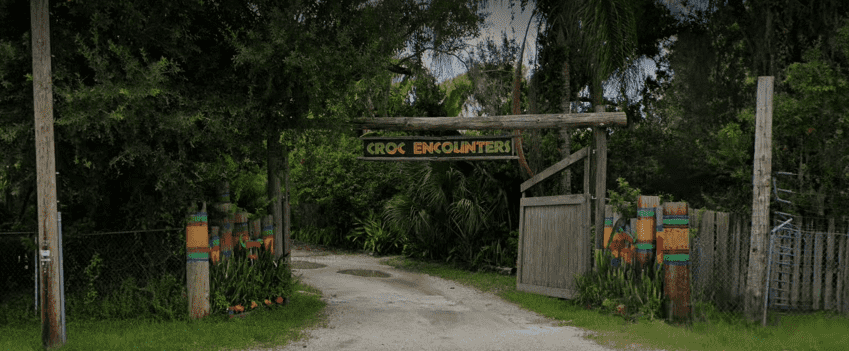 Stephan allegedly told officials she 