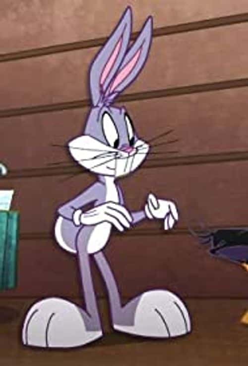 Bugs Bunny in 'The Looney Tunes Show' Reunion' (IMDb)