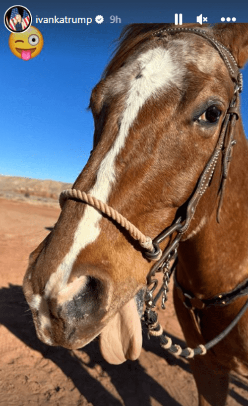 (ivankatrump/Instagram)