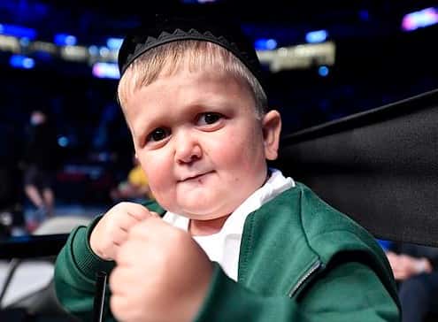 Hasbulla Magomedov (Photo via Zuffa LLC)