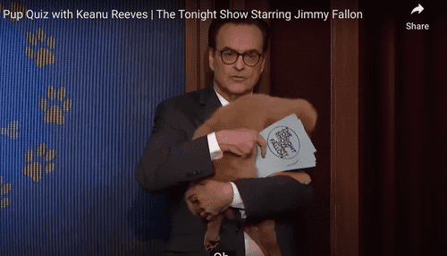 The Pup Quiz was hosted by Tonight Show announcer Steve Higgins