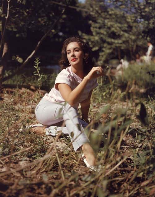 British-born actor Elizabeth Taylor sits in a field and twirls a blade of grass in her right hand, circa 1950s. (Photo by Hulton Archive/Getty Images)
