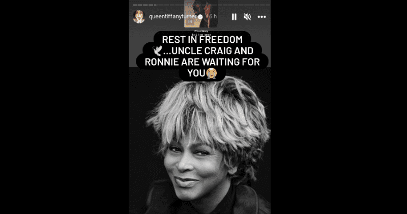 (Instagram/ @queentiffanyturner)