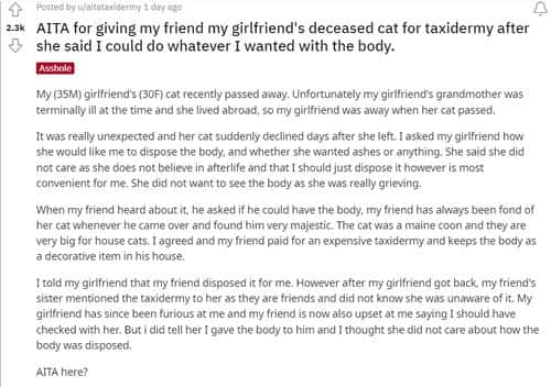 A man has been facing people’s wrath online after he gave his girlfriend’s deceased cat for taxidermy as she said he could do anything with the body.  (Reddit)