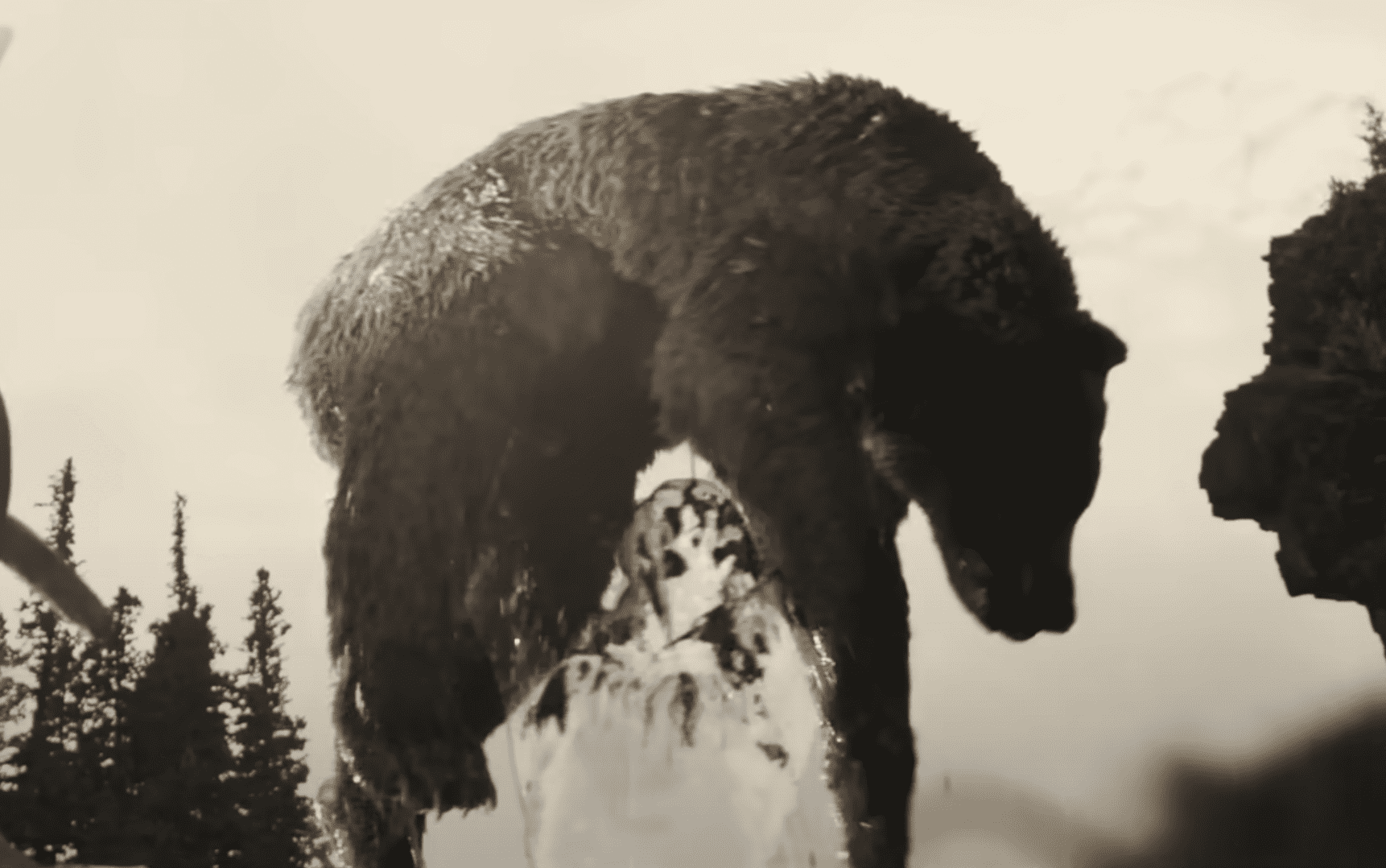 A still from 'Prey' (Hulu)