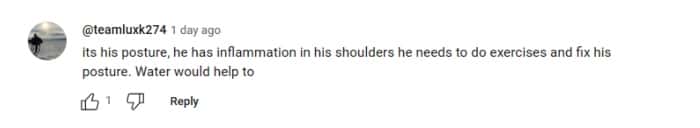 xQc's fan reaction (xQc Clips/ YouTube)