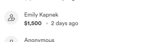 Emily Kapnek made the donation (credits/Gofundme)