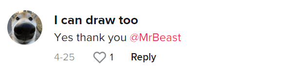 A fan thanked MrBeast