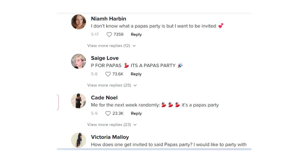 (@june.hound/Tiktok)