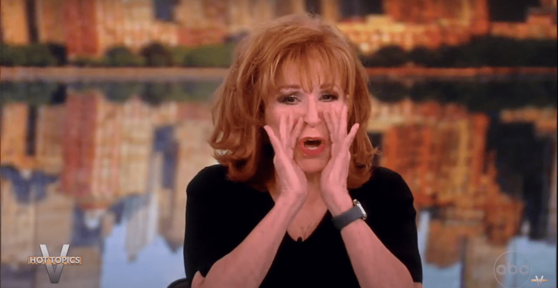 Joy Behar boos Ron DeSantis on-air (YouTube/The View) 