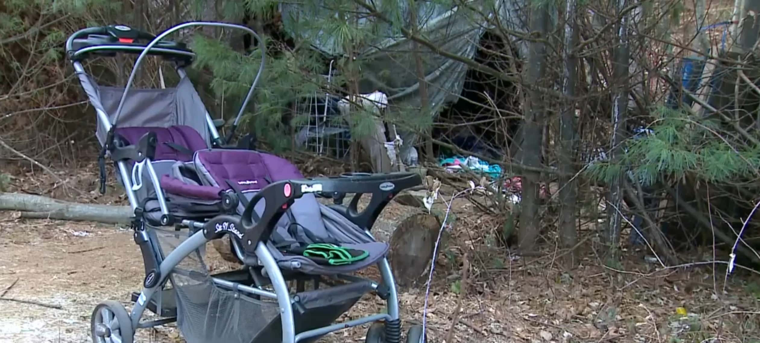 Alexandra Eckersley left her newborn son in a tent in a wooded area of New Hampshire (WMUR-TV screengrab)