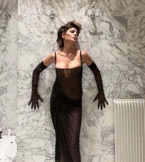 'RHOBH' alum Lisa Rinna slays in a black sheer dress (Instagram/lisarinna)