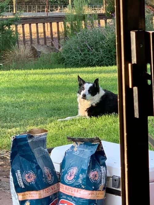 (Facebook/Rebecca Kracker)