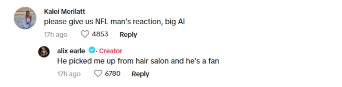 Alix Earle (alixearle/ TikTok)