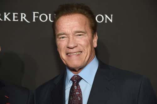 Arnold Schwarzenegger attends the 7th Annual Sean Penn & Friends HAITI RISING Gala benefiting J/P Haitian Relief Organization on January 6, 2018 in Hollywood, California.