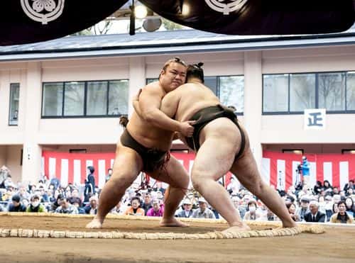 Two professional sumo wrestlers compete with each other during the Ceremonial Sumo Tournament or Honozumo at the Yasukuni Shrine on April 4, 2014 in Tokyo, Japan.