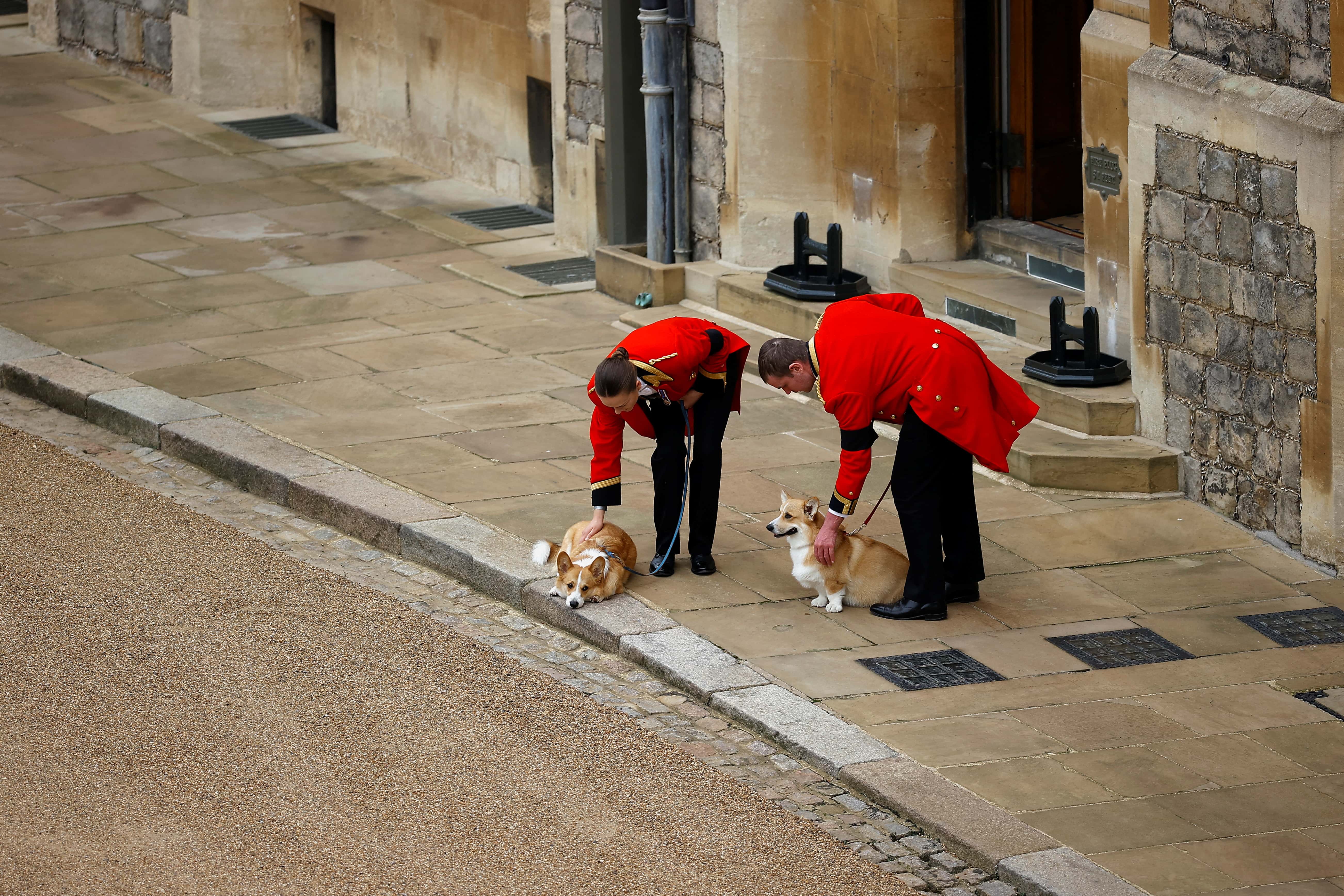 The royal corgis await the cortege ahead of the Committal Service for Queen Elizabeth II held at St George's Chapel, Windsor Castle on September 19, 2022 in Windsor, England. The committal service at St George's Chapel, Windsor Castle, took place following the state funeral at Westminster Abbey. A private burial in The King George VI Memorial Chapel followed. Queen Elizabeth II died at Balmoral Castle in Scotland on September 8, 2022, and is succeeded by her eldest son, King Charles III.