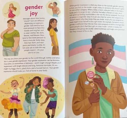 The book which ran into major controversy which is written by Mel Hammond ( American Girl.com)