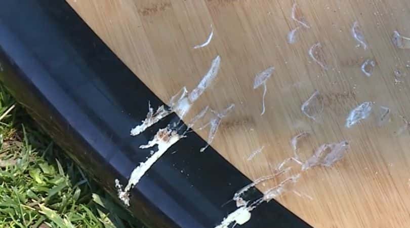 (Credit - KSWB screenshot)