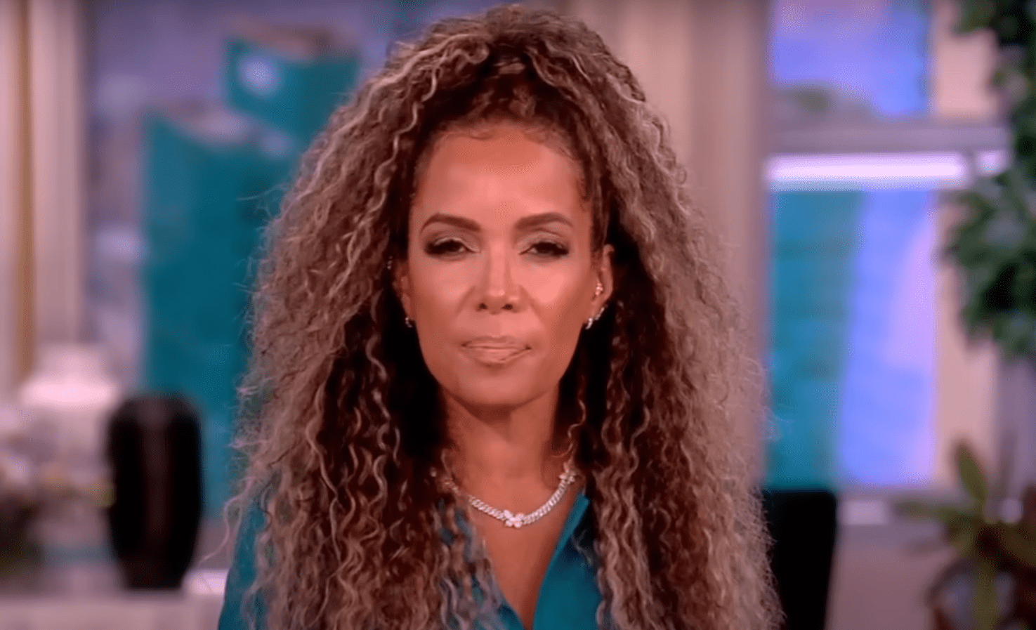 Sunny Hostin delivers a sarcastic legal note on 'The View' (YouTube/TheView)