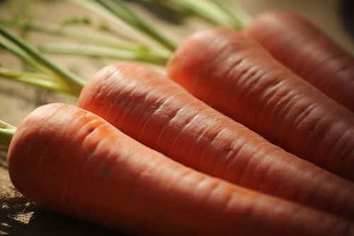 Carrots are displayed inside at RHS (Royal Horticultural Show) London Harvest Festival Show on October 7, 2014 in London, England. Growers from across the UK come together for the show at the RHS Horticultural Halls in Westminster to exhibit their seasonable bounty in the annual fruit and vegetable competition.