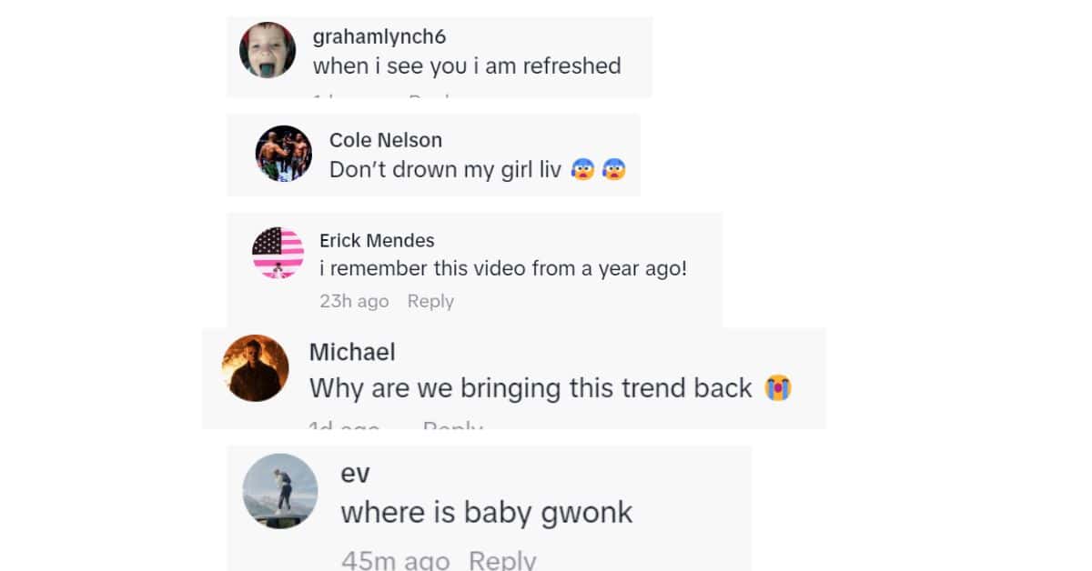 (@livvydunne/TikTok)