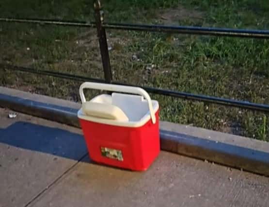 (Cooler CBC/New York)