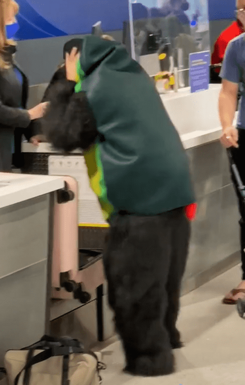 Taylor Watson/TikTok