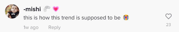 (itsmeemadiii/TikTok)