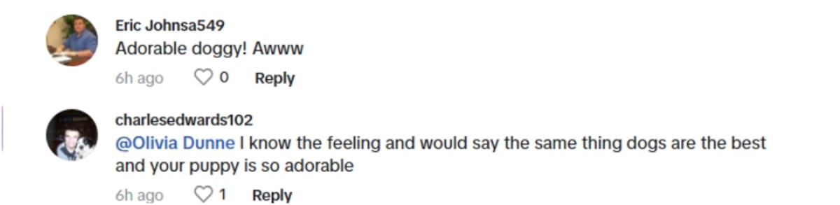 Olivia Dunne's pet received love from netizens (livvy/TikTok)