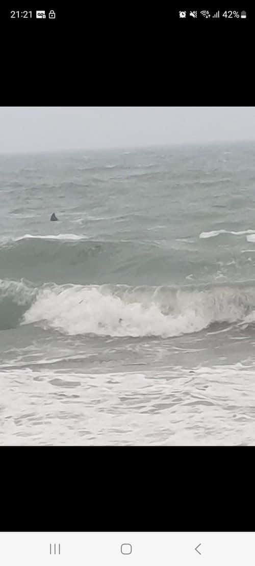 (Facebook/gazza.laidlaw)